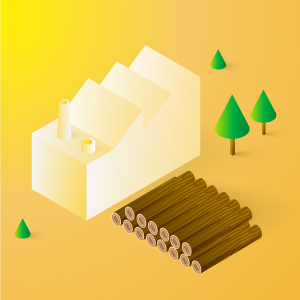 logwood